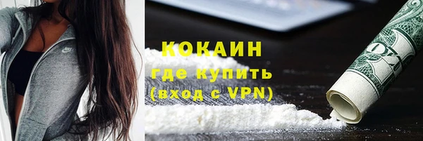 гидра Арсеньев