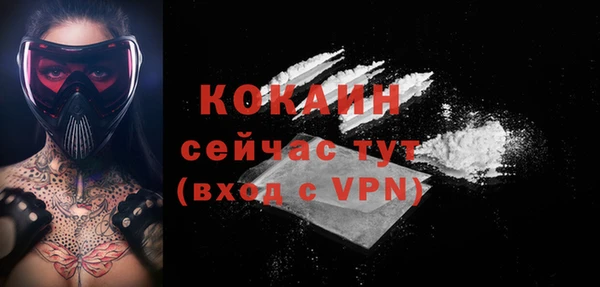 гидра Арсеньев
