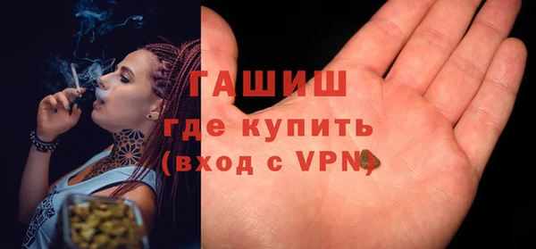 гидра Арсеньев