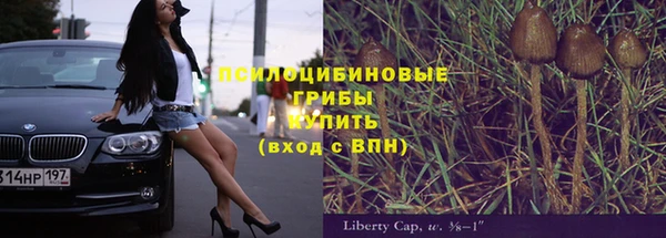 молекула духа Аркадак