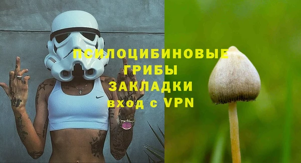 гидра Арсеньев