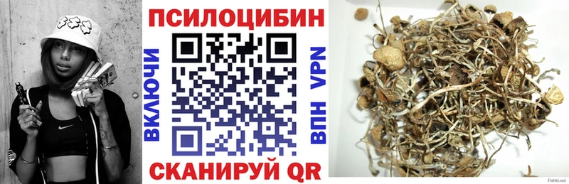 Псилоцибиновые грибы Magic Shrooms блэк спрут ONION Темников